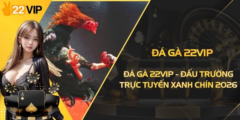 Đá Gà 22VIP - Đấu Trường Trực Tuyến Xanh Chín 2026