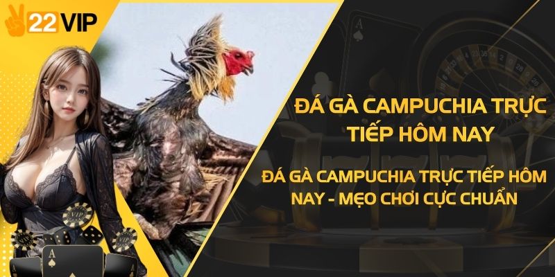 Đá Gà Campuchia Trực Tiếp Hôm Nay - Mẹo Chơi Cực Chuẩn