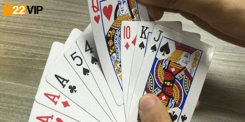 Hướng dẫn tham gia cá cược