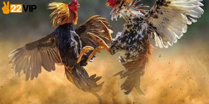 Luật quy định về thời gian
